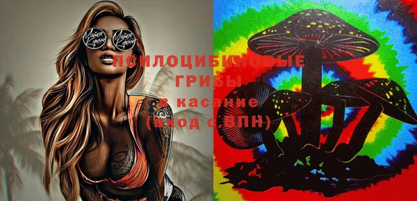 прущий лед Беломорск