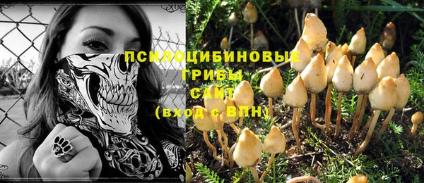 apvp Белоозёрский